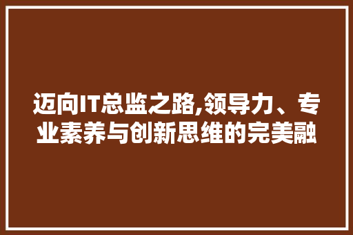 迈向IT总监之路,领导力、专业素养与创新思维的完美融合