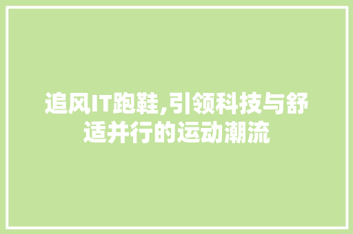 追风IT跑鞋,引领科技与舒适并行的运动潮流 服务器/数据库