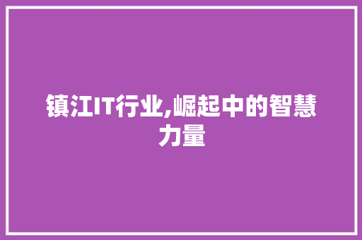 镇江IT行业,崛起中的智慧力量