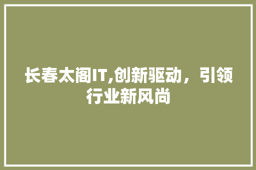 长春太阁IT,创新驱动，引领行业新风尚