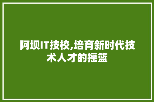 阿坝IT技校,培育新时代技术人才的摇篮