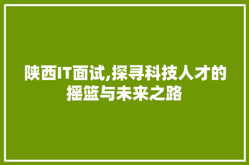 陕西IT面试,探寻科技人才的摇篮与未来之路