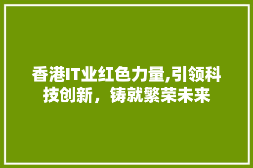 香港IT业红色力量,引领科技创新，铸就繁荣未来 建站教程