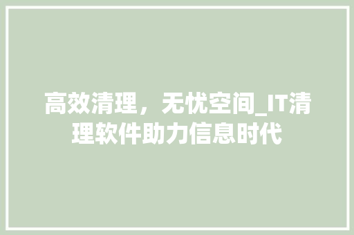 高效清理，无忧空间_IT清理软件助力信息时代