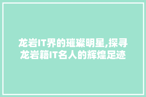 龙岩IT界的璀璨明星,探寻龙岩籍IT名人的辉煌足迹