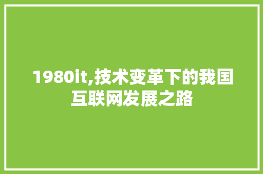 1980it,技术变革下的我国互联网发展之路 建站教程