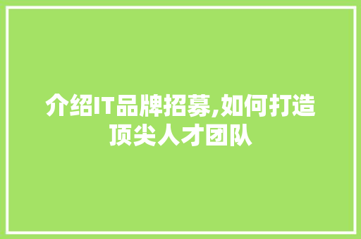 介绍IT品牌招募,如何打造顶尖人才团队 WordPress教程