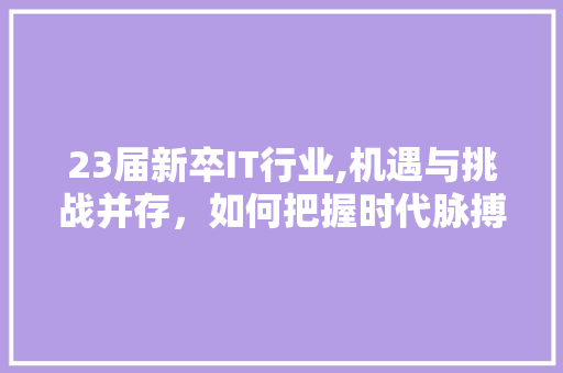 23届新卒IT行业,机遇与挑战并存，如何把握时代脉搏 SEO教程