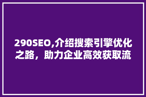 290SEO,介绍搜索引擎优化之路，助力企业高效获取流量 服务器/数据库