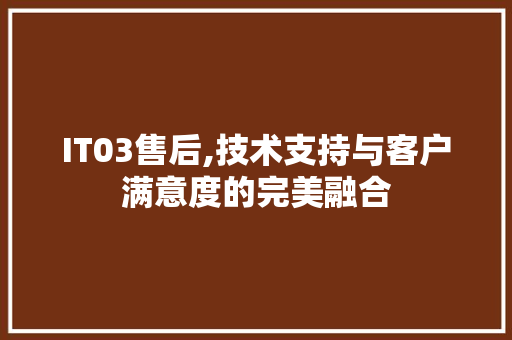 IT03售后,技术支持与客户满意度的完美融合 WordPress教程