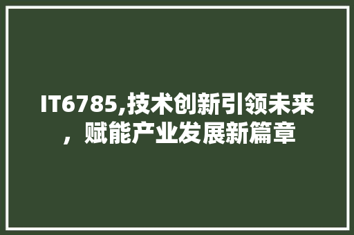 IT6785,技术创新引领未来，赋能产业发展新篇章 SEO教程