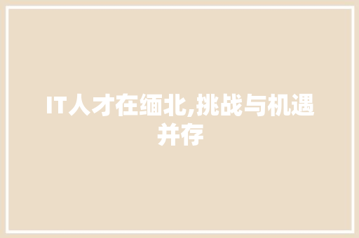 IT人才在缅北,挑战与机遇并存 服务器/数据库