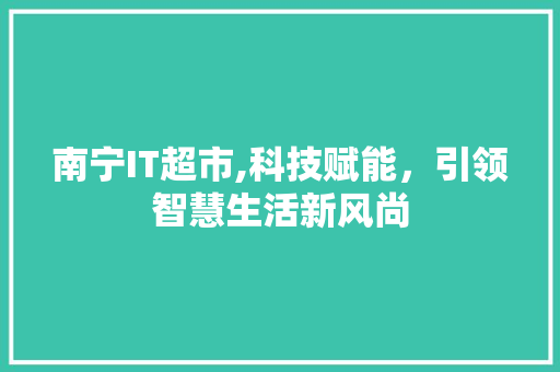 南宁IT超市,科技赋能，引领智慧生活新风尚 建站教程