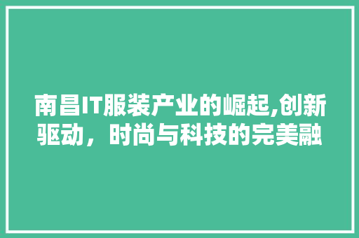 南昌IT服装产业的崛起,创新驱动，时尚与科技的完美融合 WordPress教程