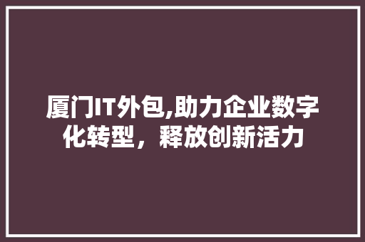 厦门IT外包,助力企业数字化转型，释放创新活力