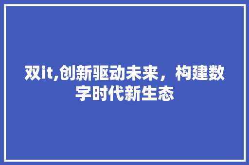 双it,创新驱动未来，构建数字时代新生态 Web前端