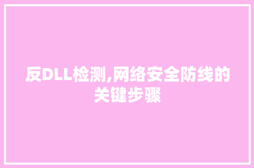 反DLL检测,网络安全防线的关键步骤 SEO教程