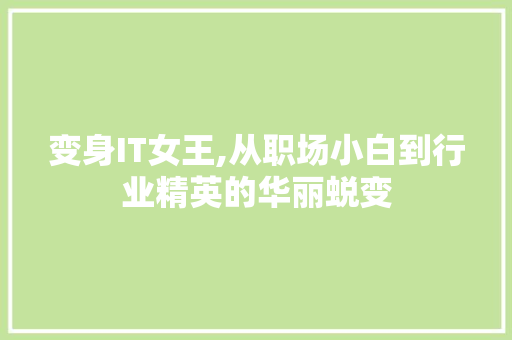 变身IT女王,从职场小白到行业精英的华丽蜕变 SEO教程