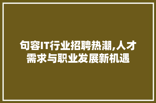句容IT行业招聘热潮,人才需求与职业发展新机遇 服务器/数据库