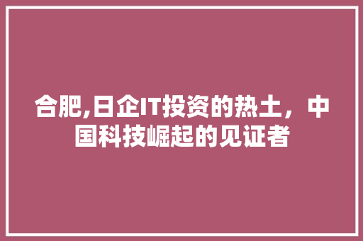 合肥,日企IT投资的热土，中国科技崛起的见证者