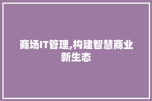 商场IT管理,构建智慧商业新生态 SEO教程