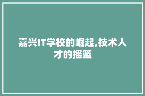 嘉兴IT学校的崛起,技术人才的摇篮 建站教程