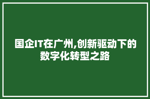 国企IT在广州,创新驱动下的数字化转型之路
