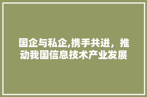 国企与私企,携手共进，推动我国信息技术产业发展