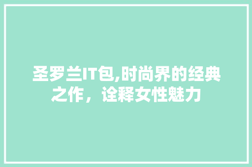 圣罗兰IT包,时尚界的经典之作，诠释女性魅力 SEO教程