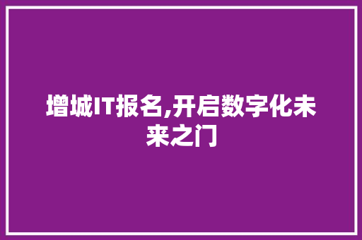 增城IT报名,开启数字化未来之门 建站教程