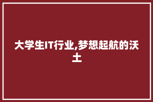 大学生IT行业,梦想起航的沃土