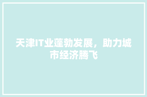 天津IT业蓬勃发展，助力城市经济腾飞