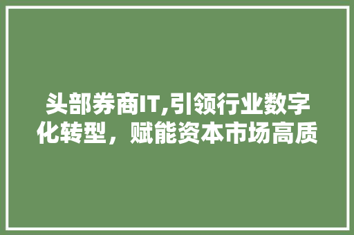 头部券商IT,引领行业数字化转型，赋能资本市场高质量发展