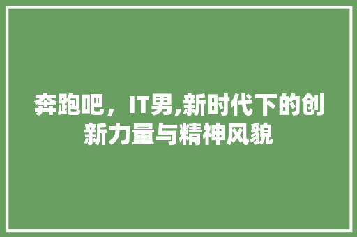 奔跑吧，IT男,新时代下的创新力量与精神风貌