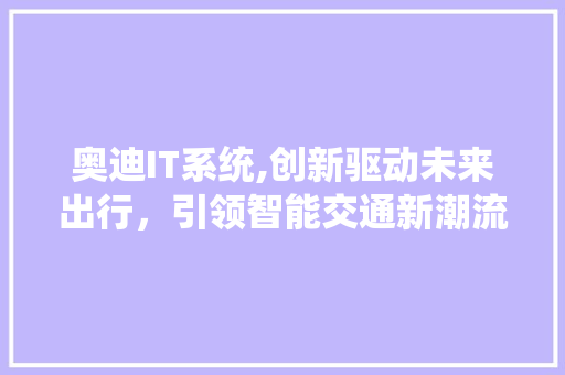 奥迪IT系统,创新驱动未来出行，引领智能交通新潮流