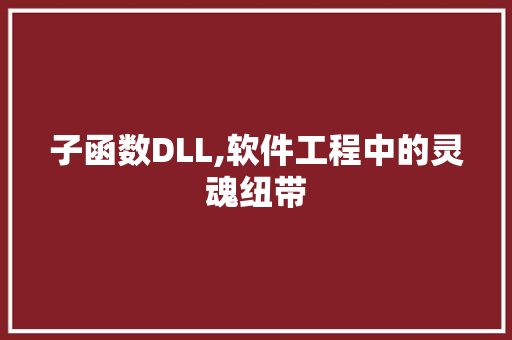 子函数DLL,软件工程中的灵魂纽带 建站教程
