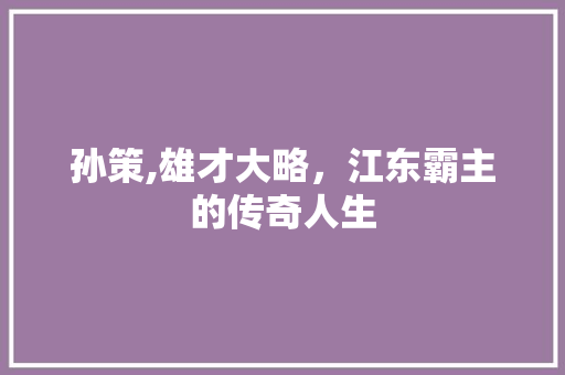 孙策,雄才大略，江东霸主的传奇人生