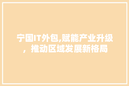 宁国IT外包,赋能产业升级，推动区域发展新格局