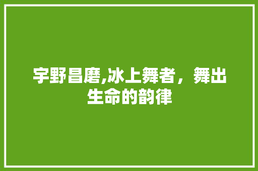 宇野昌磨,冰上舞者，舞出生命的韵律