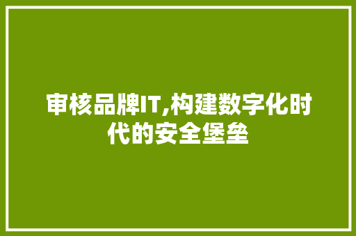 审核品牌IT,构建数字化时代的安全堡垒 SEO教程