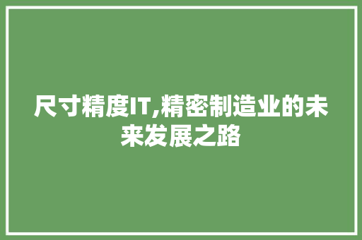 尺寸精度IT,精密制造业的未来发展之路