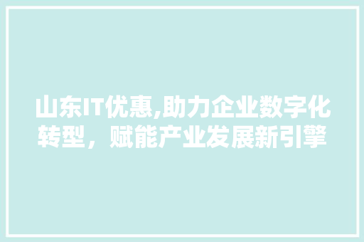 山东IT优惠,助力企业数字化转型，赋能产业发展新引擎