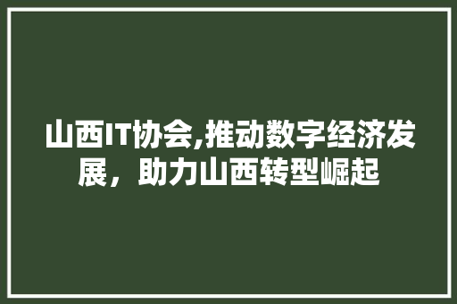 山西IT协会,推动数字经济发展，助力山西转型崛起 服务器/数据库