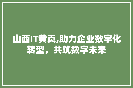 山西IT黄页,助力企业数字化转型，共筑数字未来 建站教程