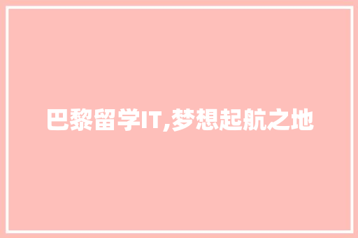 巴黎留学IT,梦想起航之地