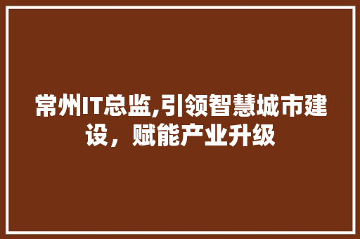 常州IT总监,引领智慧城市建设，赋能产业升级 建站教程