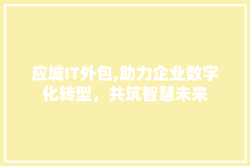 应城IT外包,助力企业数字化转型，共筑智慧未来