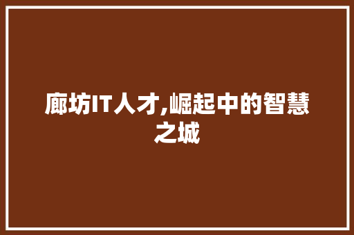 廊坊IT人才,崛起中的智慧之城