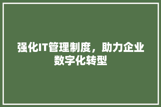 强化IT管理制度，助力企业数字化转型 SEO教程