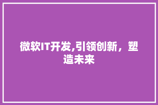 微软IT开发,引领创新，塑造未来
